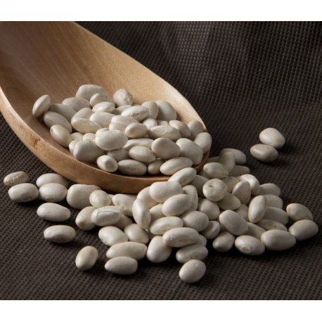 alubia-blanca-eco-pvp-por-kg.jpg