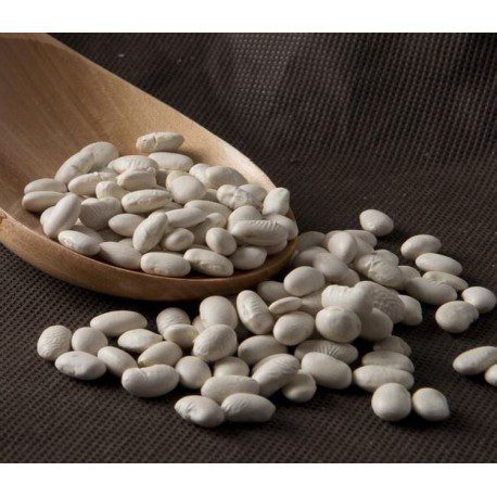 alubia-cocido-montanes-pvp-por-kg.jpg