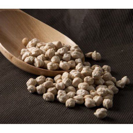 garbanzo-castellano-de-fuentesauco-ecologico-a-granel.jpg