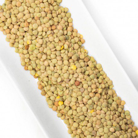 lenteja-de-la-armuna-do-1-kg.jpg
