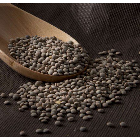 lenteja-pardina-ecologica-a-granel.jpg